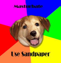 Advice Dog