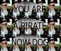 You Are A Pirate!
