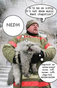 NEDM