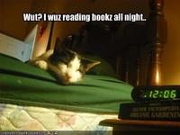 LOLcats