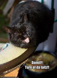 LOLcats