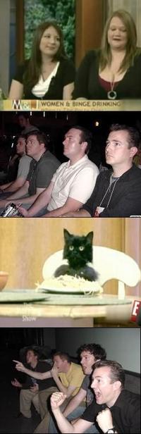 Spaghetti Cat
