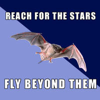 Space Bat