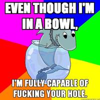 Rhyming pet Shark