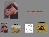 Snel hest