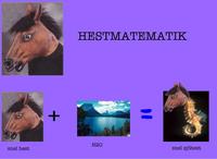Snel hest