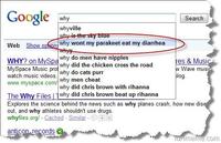 Google Search Box Suggestions