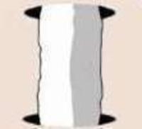 Longcat