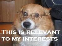 This is Relevant to My Interest