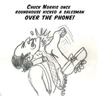 Chuck Norris Facts