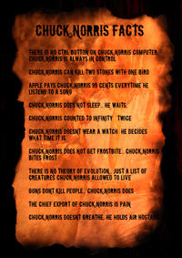 Chuck Norris Facts