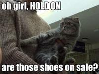 LOLcats