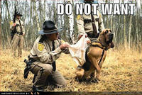 Do_not_want_dog