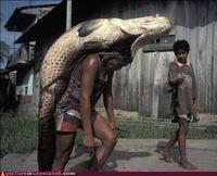 Wtf_fish