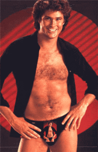 David Hasselhoff Drunk