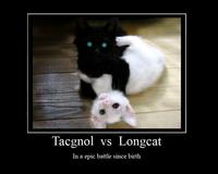 Longcat