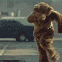 Breakdancing Bear