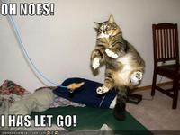 LOLcats
