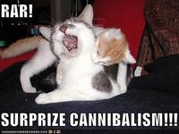 LOLcats