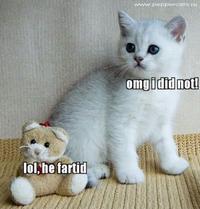 LOLcats