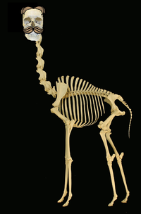 Gordon the Pringles Giraffe