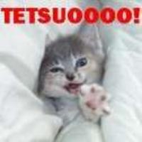 LOLcats