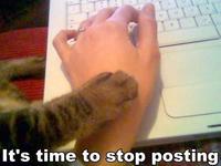 LOLcats