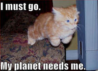 LOLcats