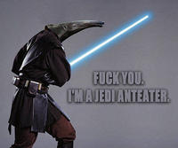 Jedi-anteater
