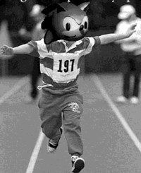 DSS : Down Syndrome Sonic
