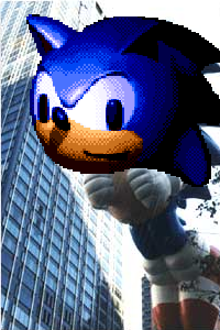 DSS : Down Syndrome Sonic
