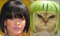 Limecat