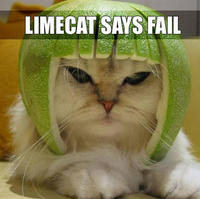Limecat
