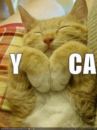 LOLcats