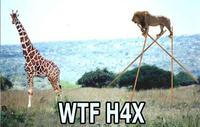 LOLcats