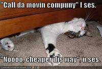 LOLcats