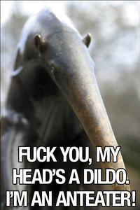 I'm an Anteater!!!