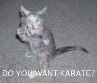 LOLcats