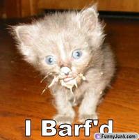 LOLcats