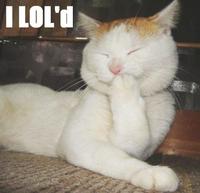 LOLcats