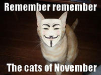 LOLcats