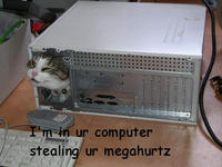 LOLcats