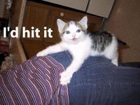 LOLcats