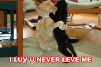 LOLcats