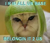 Limecat