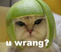Limecat