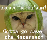 Limecat