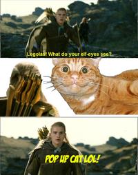 What do your elf eyes see?