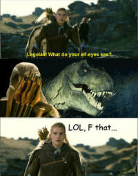 What do your elf eyes see?
