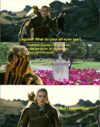 What do your elf eyes see?